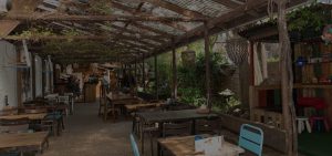 angies kitchen tuin